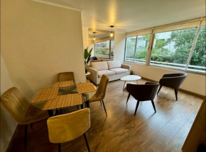 Apartamento Providencia 21
